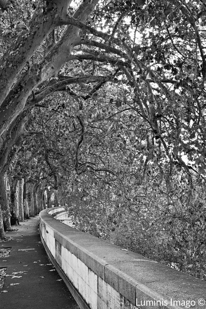 Philosophie des Morgens